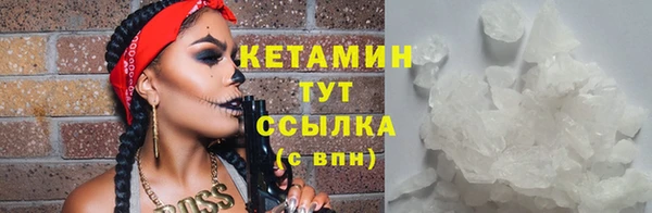 дживик Аркадак