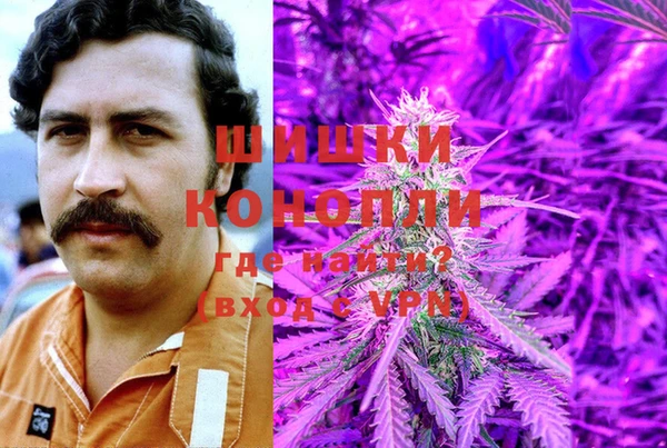 дживик Аркадак